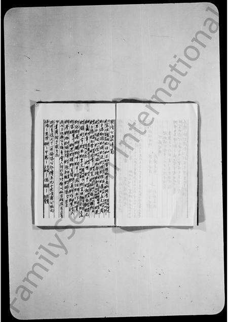 广东罗氏族谱-元朗锦田罗屋村罗氏族谱.pdf电子版预览图4