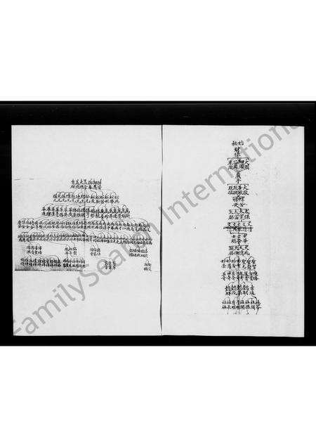 广东罗氏族谱-南海罗氏家谱.pdf电子版预览图4