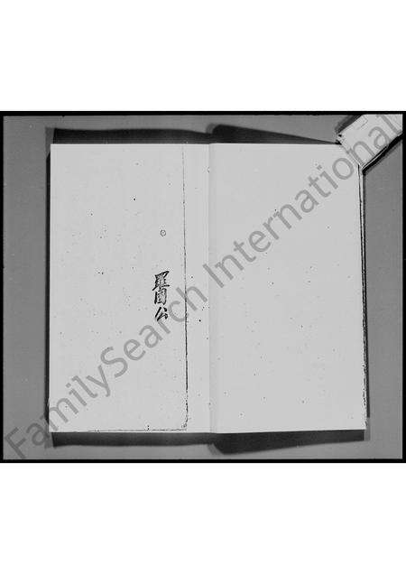 广东罗氏族谱-宝安县锦田横台山罗氏族谱.pdf电子版预览图4