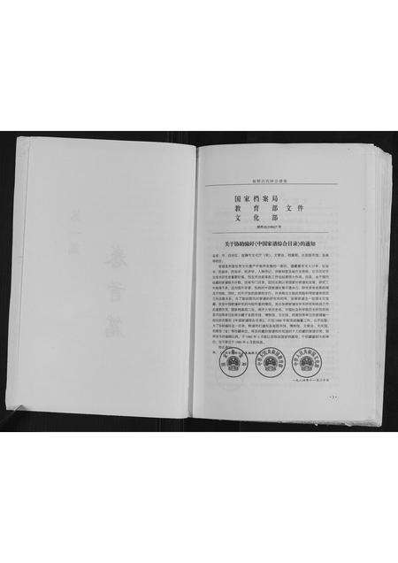 河南吕氏族谱-新野吕氏钟公谱系.pdf电子版预览图4
