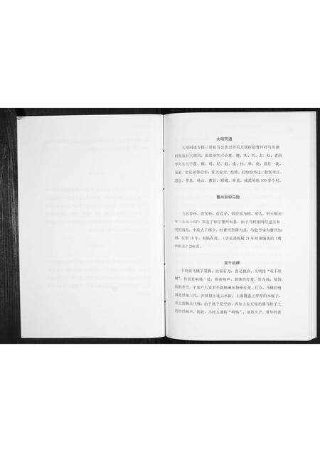 河南马氏族谱-开濮曹徐马氏家族轶事[不分卷].pdf电子版预览图4