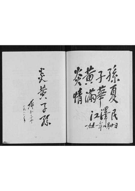 河南南氏族谱-南氏家谱.pdf电子版预览图4