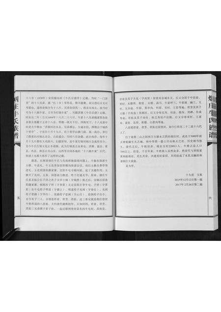 河南牛氏族谱-牛氏族谱.pdf电子版预览图4