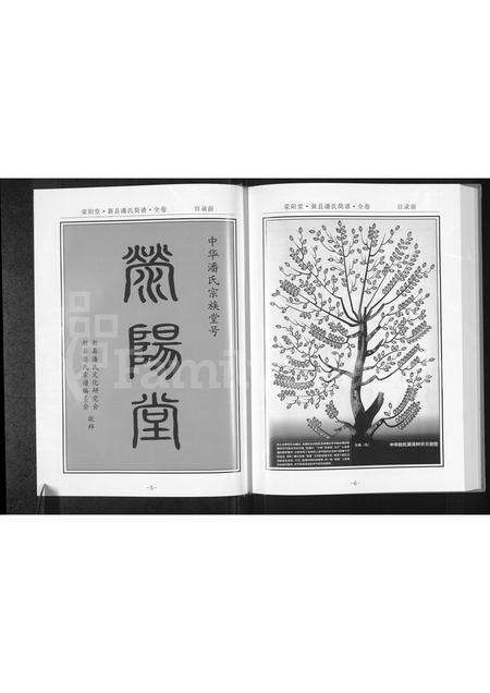 河南潘氏族谱-新县潘氏简谱 [全1卷].pdf电子版预览图4