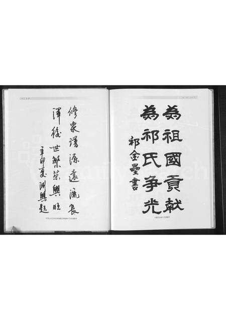 河南祁氏族谱-平顶山滑县祁氏家谱.pdf电子版预览图4