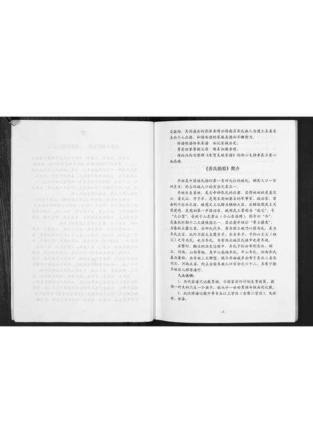 河南齐氏族谱-齐恒支族家谱.pdf电子版预览图4