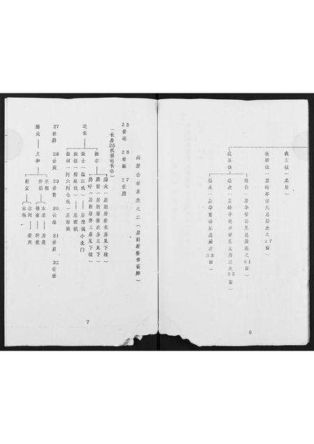 广东丘氏族谱-丘氏成实祖世系.pdf电子版预览图4