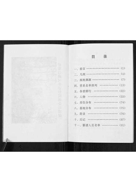 河南申氏族谱-申氏族谱.pdf电子版预览图4
