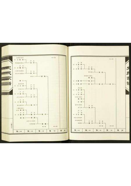 河南史氏族谱-史氏宗谱.pdf电子版预览图4