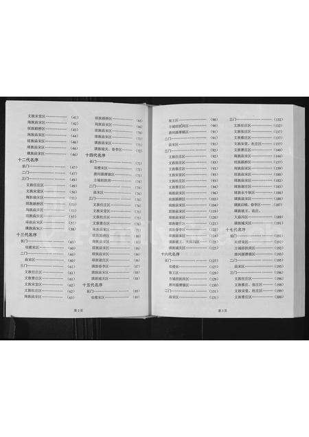 河南宋氏族谱-宋氏云族世谱.pdf电子版预览图4