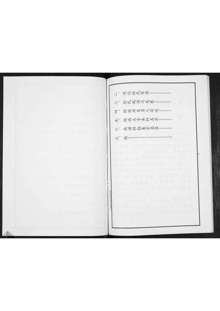 河南孙氏族谱-孙氏族谱[不分卷].pdf电子版预览图4