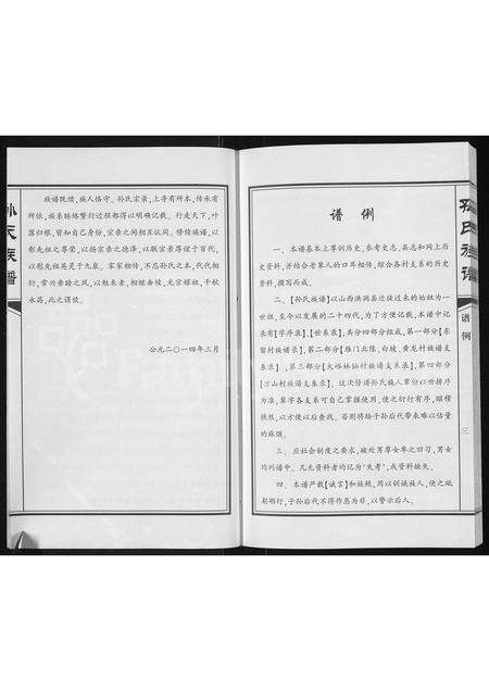 河南孙氏族谱-孙氏族谱.pdf电子版预览图4