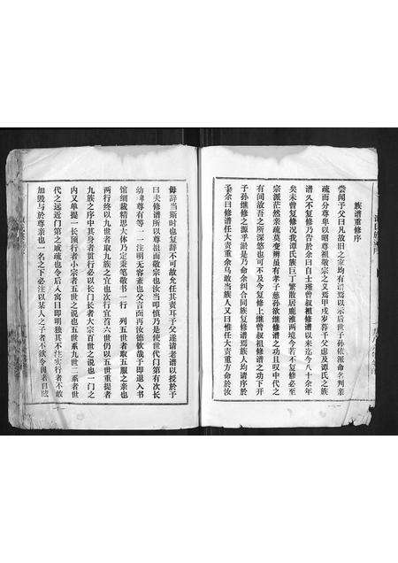 河南谭氏族谱-谭氏族谱.pdf电子版预览图4