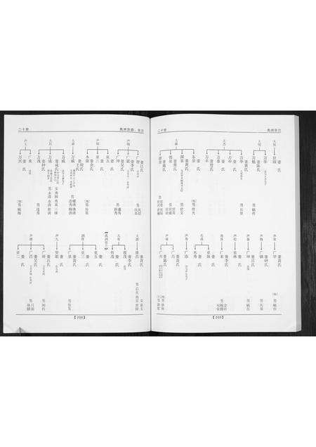 广东唐氏族谱-唐氏族谱.pdf电子版预览图4