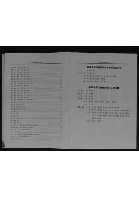 河南唐氏族谱-社旗县唐岗唐氏家谱[不分卷].pdf电子版预览图4