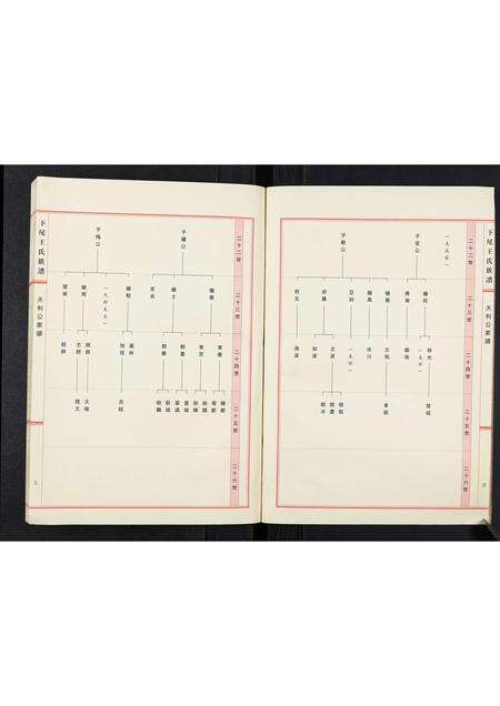 广东王氏族谱-下尾王氏族谱.pdf电子版预览图4