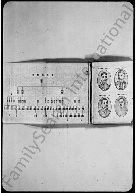 广东王氏族谱-东莞虎门王氏家谱.pdf电子版预览图4
