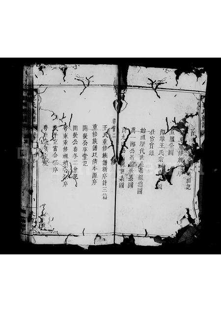 江西、广东、福建王氏族谱-王氏族谱 [3卷,首2卷].pdf电子版预览图4