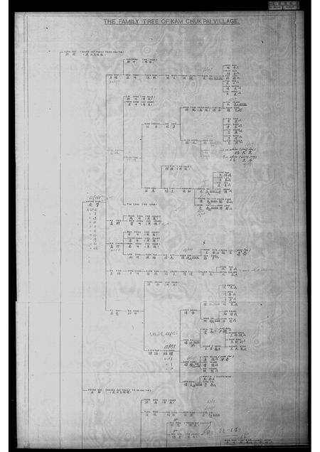 广东王氏族谱-金竹排村王斯福家族谱.pdf电子版预览图4