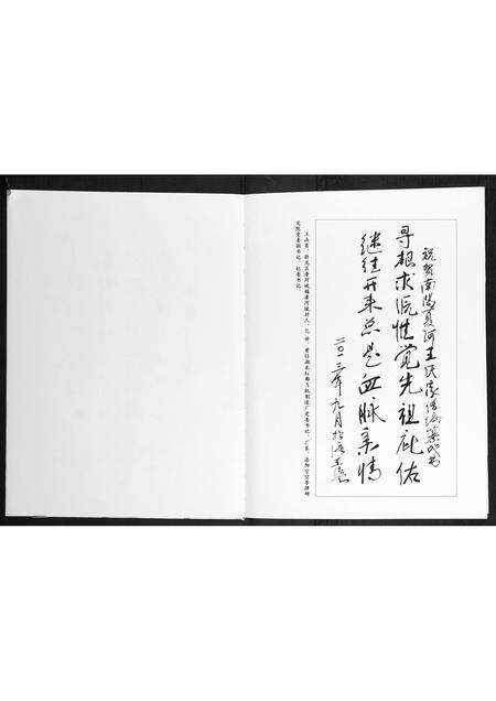 河南王氏族谱-夏河王氏家谱.pdf电子版预览图4