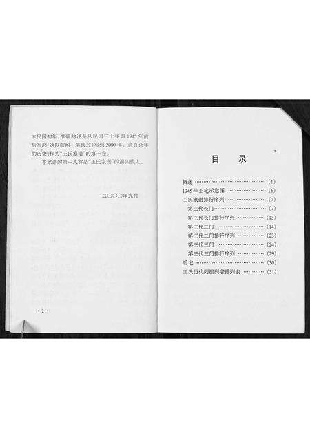 河南王氏族谱-王氏家谱[不分卷].pdf电子版预览图4