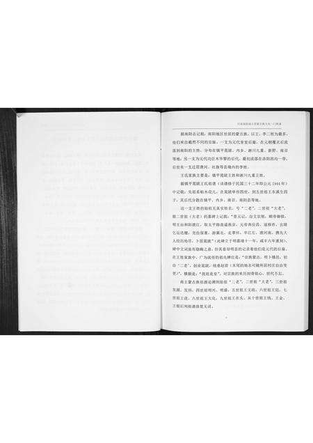 河南王氏族谱-王氏家谱[不分卷].pdf电子版预览图4