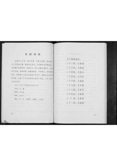 河南王氏族谱-王氏族谱.pdf电子版预览图4