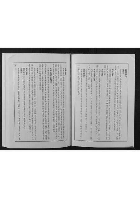 河南王氏族谱-王氏族谱.pdf电子版预览图4