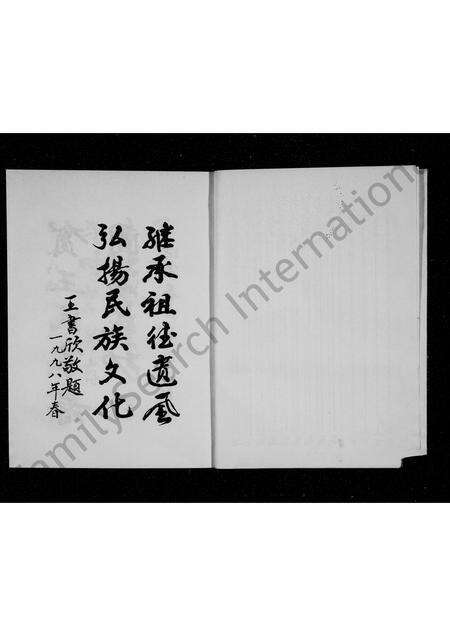 河南王氏族谱-王氏家谱.pdf电子版预览图4