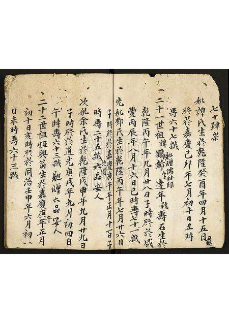 广东未知族谱-[姓氏不详]家谱.pdf电子版预览图4