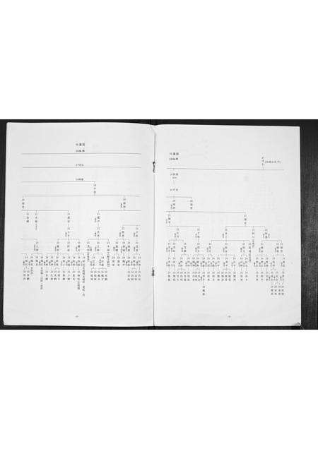 广东魏氏族谱-[魏氏]藩园公家谱.pdf电子版预览图4