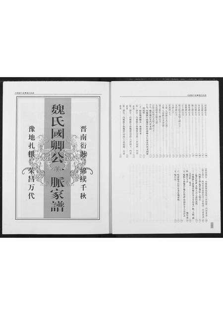 河南魏氏族谱-魏氏族谱.pdf电子版预览图4