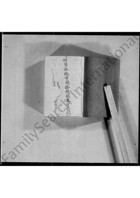 广东文氏族谱-宝安文氏族谱.pdf电子版预览图4