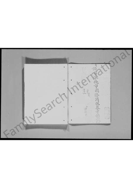 广东文氏族谱-宝安县文氏族谱.pdf电子版预览图4