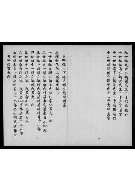 广东巫氏族谱-平阳堂巫姓族谱 [不分卷].pdf电子版预览图4
