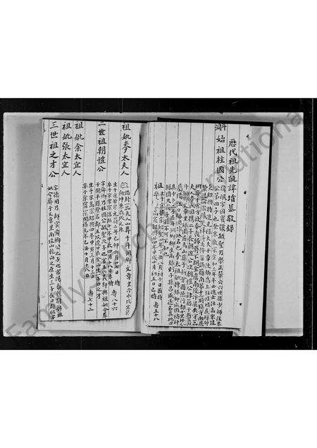 广东伍氏族谱-伍氏九族家谱.pdf电子版预览图4