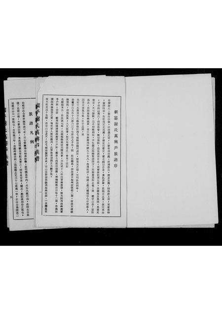 广东谢氏族谱-镇平谢氏万兴户族谱.pdf电子版预览图4