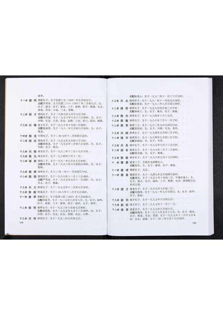 广东熊氏族谱-熊氏胜公世系谱[3卷].pdf电子版预览图4