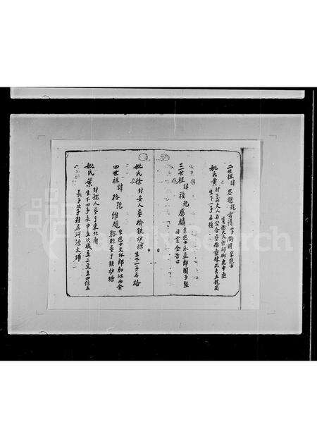 广东杨氏族谱-荃湾油金头村杨姓族部[谱].pdf电子版预览图4