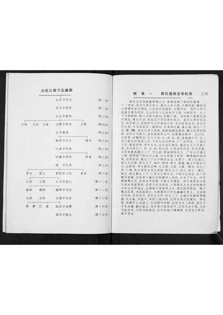 福建陈氏族谱-双江陈氏忠肃从化公派族谱.盛明公支副本.pdf电子版预览图4