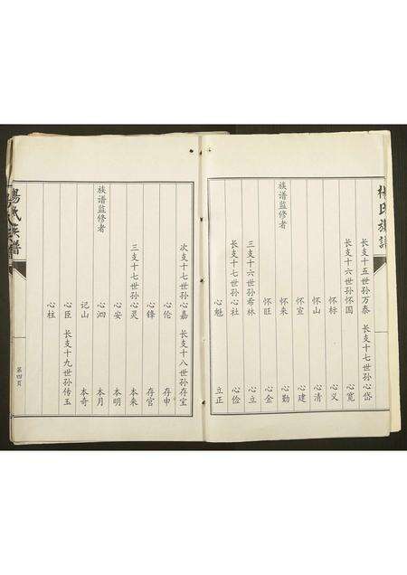 河南杨氏族谱-杨氏族谱.pdf电子版预览图4