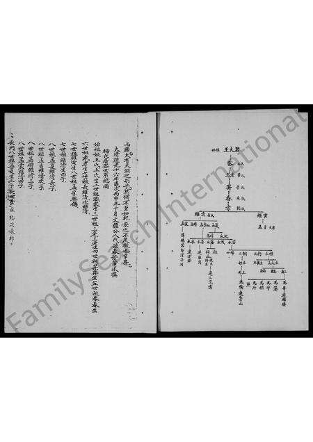 河南杨氏族谱-杨氏家谱.pdf电子版预览图4