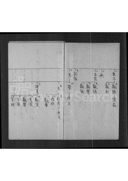 广东叶氏族谱-元岭叶氏族谱.pdf电子版预览图4