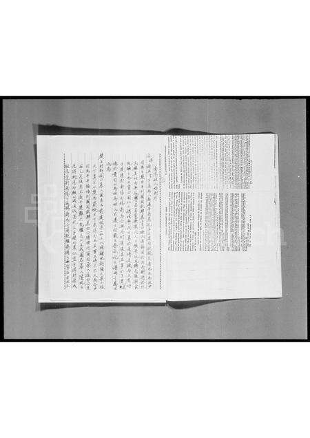 广东叶氏族谱-沙头角运麻坑叶氏族谱.pdf电子版预览图4