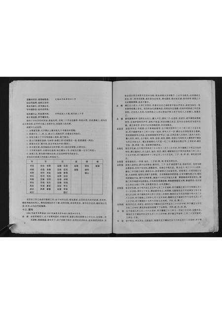 河南余氏族谱-信阳长台关余氏宗谱[不分卷].pdf电子版预览图4