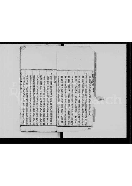 广东袁氏族谱-罗湖袁氏家谱.pdf电子版预览图4