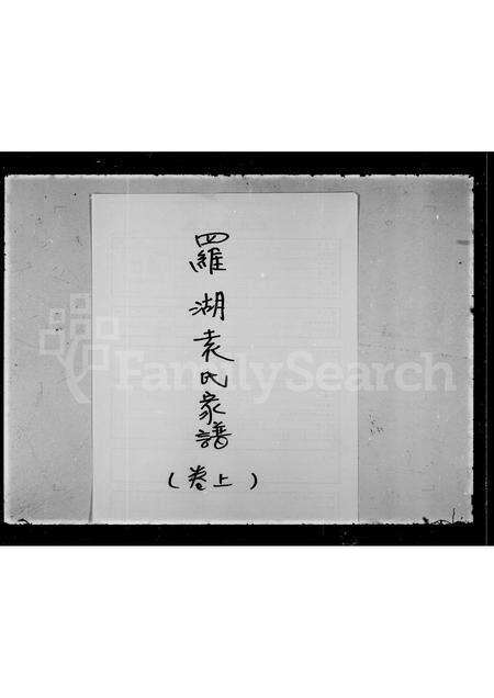 广东袁氏族谱-罗湖袁氏家谱.pdf电子版预览图4