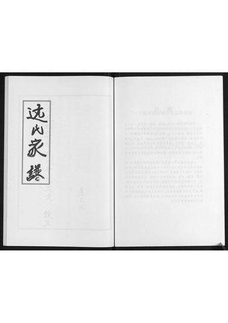 河南远氏族谱-遂平县远氏家谱.pdf电子版预览图4