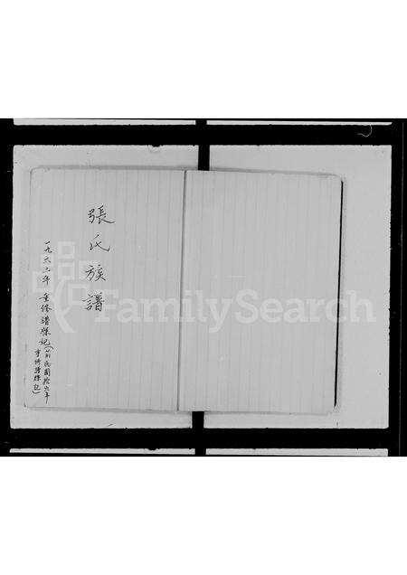 广东张氏族谱-张氏族谱.pdf电子版预览图4