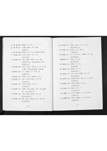 广东张氏族谱-隆城乡张氏族谱.pdf电子版预览图4